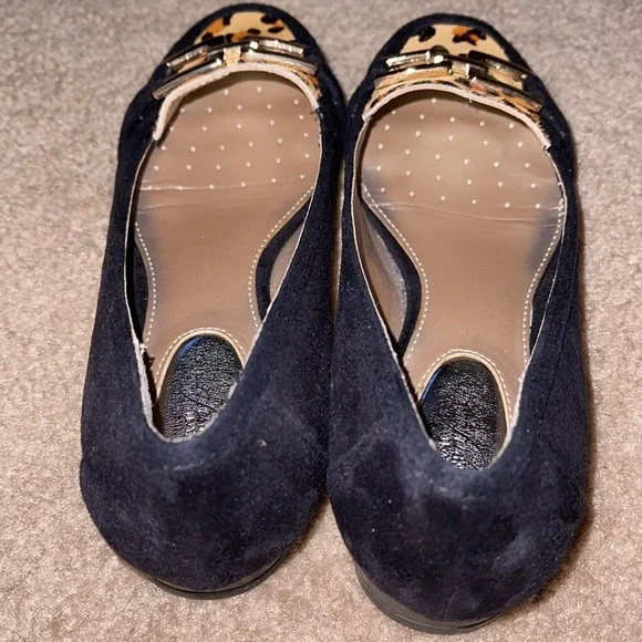 Alfani - Picture 4 of 4